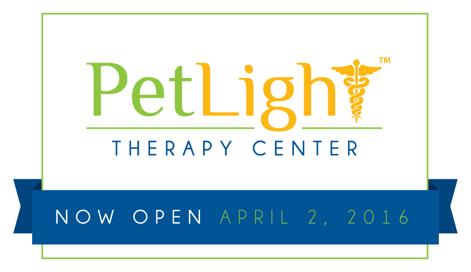 You are currently viewing PetLight Therapy Center – Now Open!